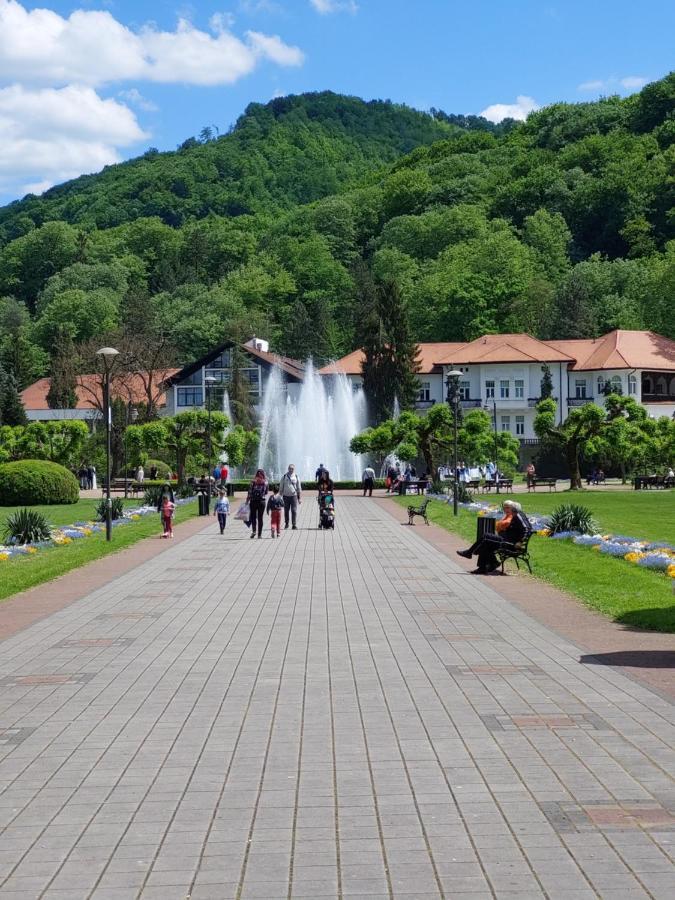 Aleks Sobe Hotel Banja Koviljaca Exterior photo